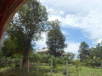 DSCN2286.JPG