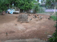 DSCN0043.JPG