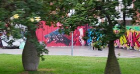 DSC07288.JPG