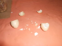 DSCN0312.JPG