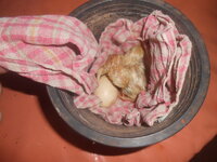 DSCN0313.JPG