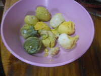 DSCN0552.JPG
