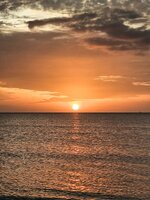 20260825_061639.jpg