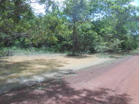 DSCN2207.JPG
