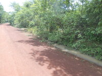 DSCN2209.JPG