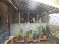 DSCN2215.JPG