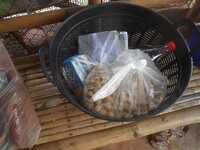 DSCN2222.JPG