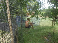 DSCN2235.JPG