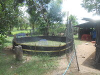 DSCN2225.JPG