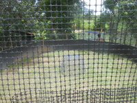 DSCN2226.JPG