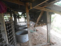 DSCN2232.JPG DSCN2232.JPG