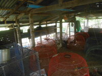 DSCN2233.JPG