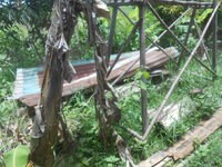 DSCN2245.JPG