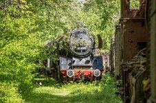 Duitsland-Hermeskeil ''Bahnmuseum'' (16).jpg