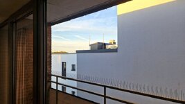 20260825_070553.jpg
