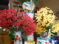 DSCN2131.JPG