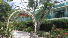 RIMG0036.JPG