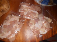 DSCN0733.JPG