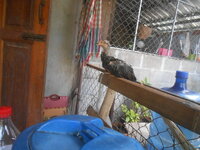 DSCN2256.JPG