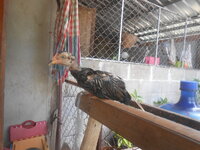 DSCN2257.JPG