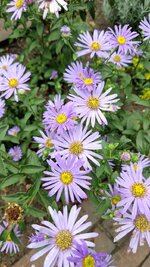 20260819_073943.jpg