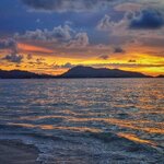 IMG_0083.jpeg