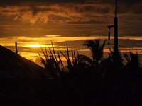 IMG_1981.jpeg