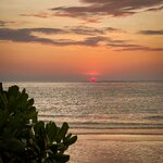 IMG_3710.jpeg