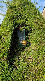 20260826_084757.jpg