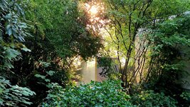 20260827_073638.jpg