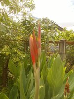 DSCN2291~2.JPG