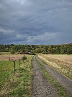 IMG_20260831_174927.jpg