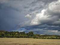 IMG_20260831_175051.jpg