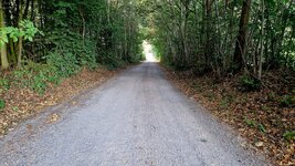 20260827_080711.jpg