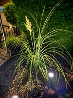 20260901_0623368.jpg