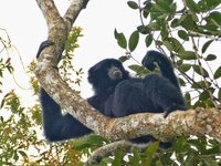 P2800187 (1).jpeg
