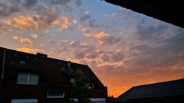 20260827_202425.jpg