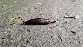 20260902_081524.jpg