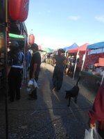 DSCN2329~2.JPG