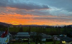 IMG_0108.jpeg