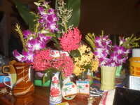 DSCN2356.JPG