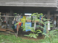 DSCN2013.JPG