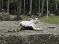Bangkok LumphiniPark - 5.jpg