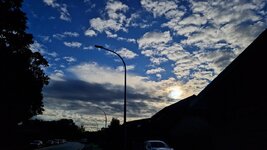 20260831_082232.jpg