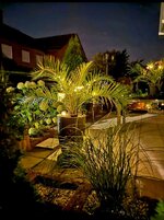 20260902_0735398.jpg