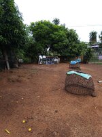 IMG_20260613_081112_788.jpg