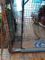 IMG_20260613_075908_003.jpg