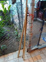 IMG_20260613_075920_401.jpg