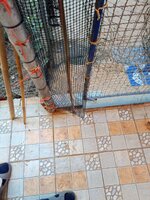IMG_20260613_080023_948.jpg