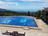 Paradise1.jpg